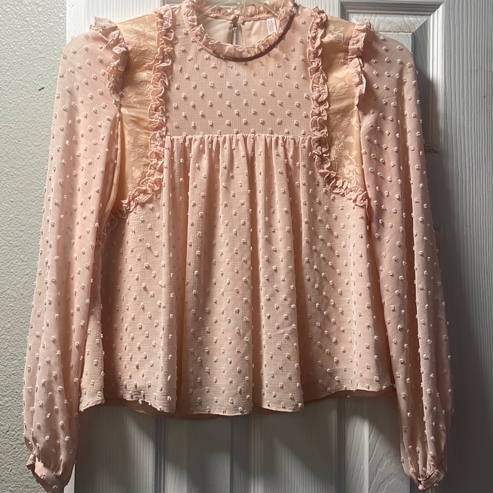 ZARA Trafaluc Collection PINK Ruffled SWISS DOT Lined Lace Chiffon BLOUSE